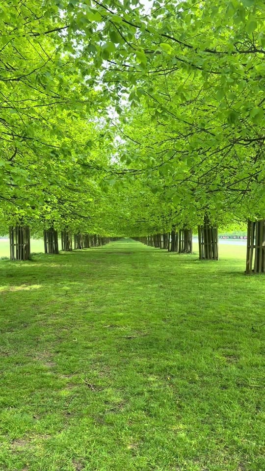 Post 6 by MariaReeentenko on TikTok (video)