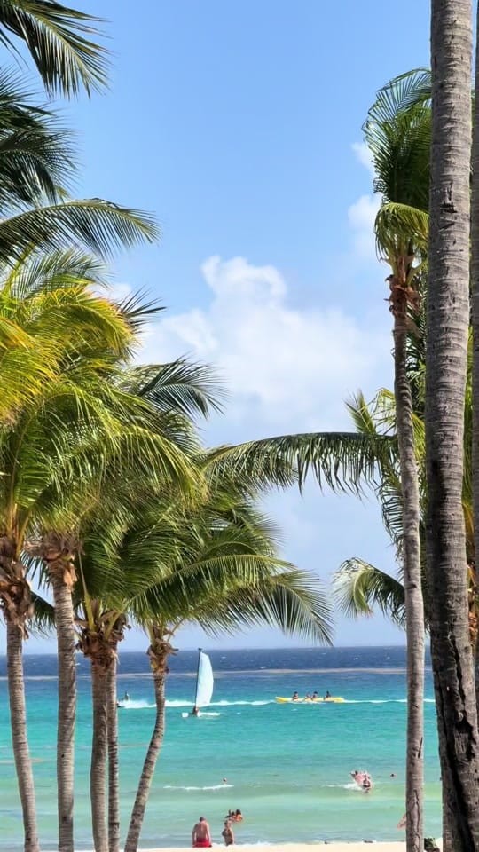 Post 5 by MariaReeentenko on TikTok (video)