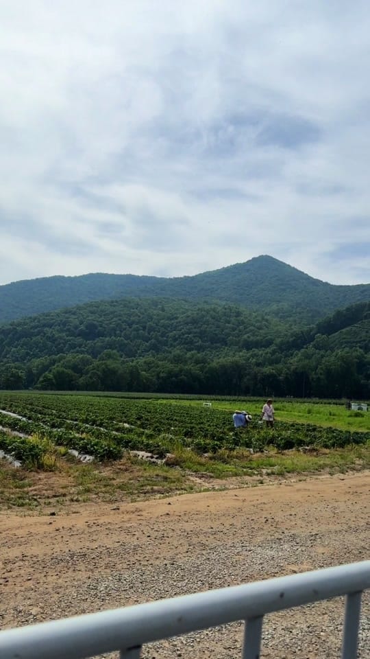 Post 4 by Vayda Coggins | Vayda’s Coffee on TikTok (video)