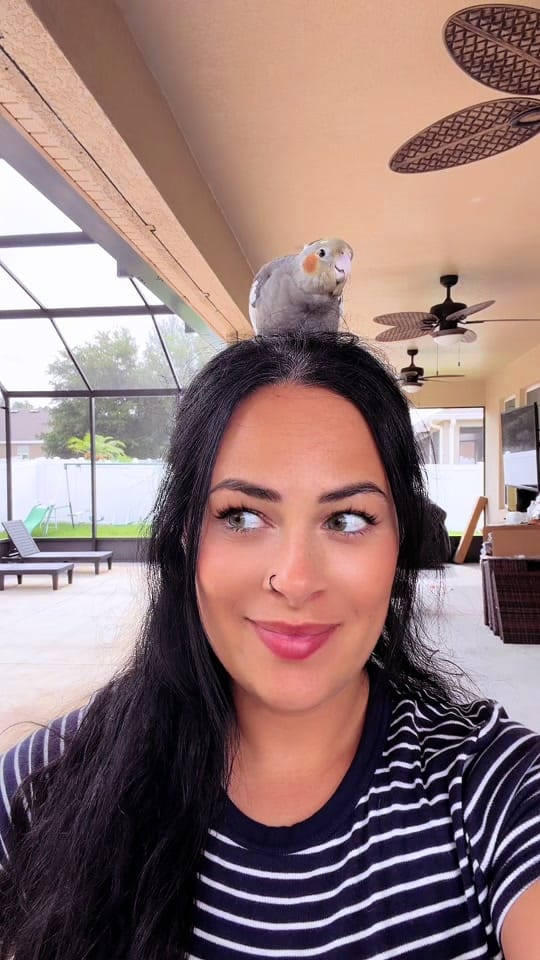Post 8 by Jaelynn Patrinos on TikTok (video)