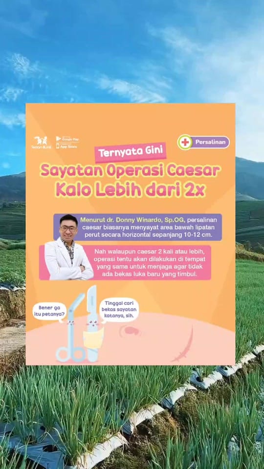Post 3 by parenting_talk on TikTok (video)