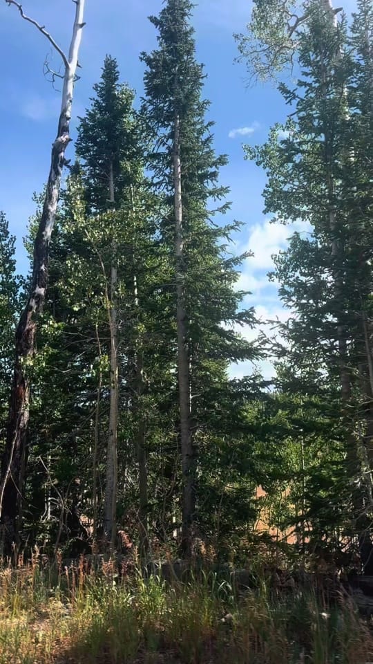 Post 3 by Cassie | California Mom on TikTok (video)