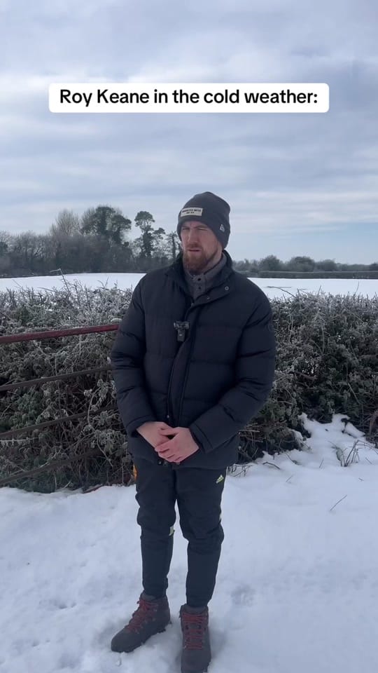 Post 9 by Séamus Lehane on TikTok (video)