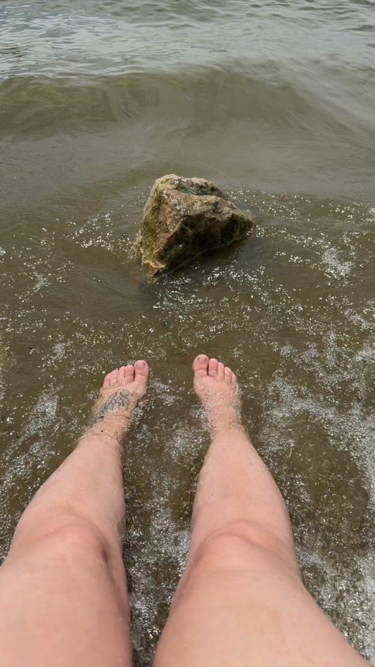 Post 3 by Chelsea | AaronClaireDesigns on TikTok (video)