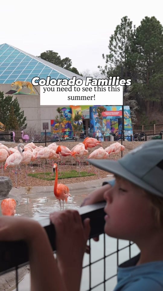 Post 3 by LittleRadAdventure on TikTok (video)