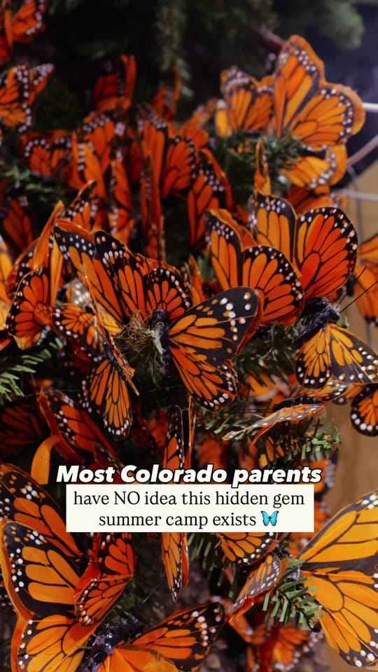Post 7 by LittleRadAdventure on TikTok (video)