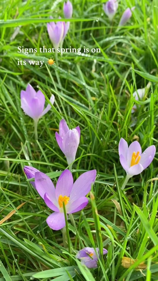Post 5 by charlotte☀️ on TikTok (video)