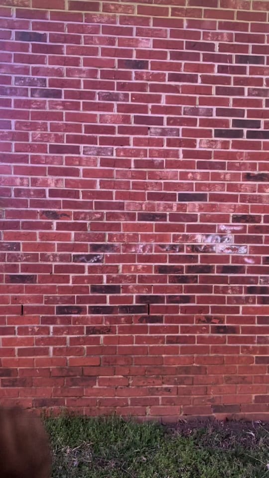 Post 1 by Corporate Mama|Growth+Peace🌱 on TikTok (video)