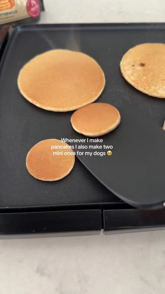 Post 9 by Natalie Crowe Tatman on TikTok (video)