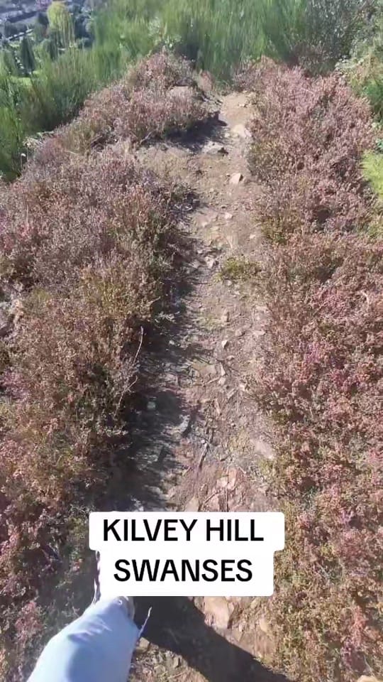 Post 10 by Katie_Roams on TikTok (video)