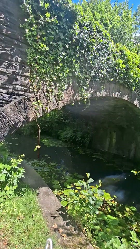 Post 6 by Katie_Roams on TikTok (video)
