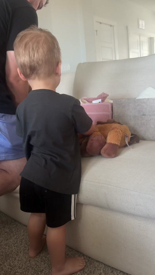 Post 4 by Liz Jones on TikTok (video)