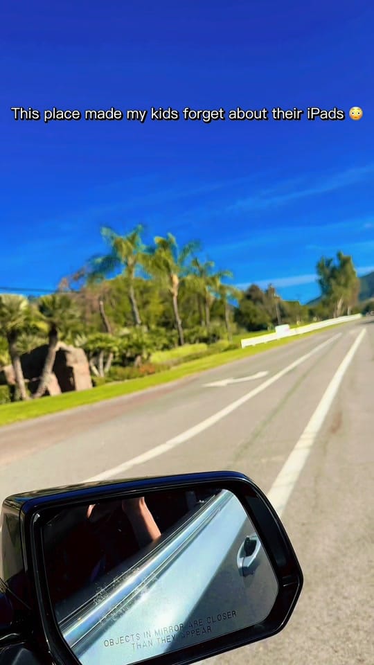 Post 7 by NatureCallsMeHome Travel Deals on TikTok (video)