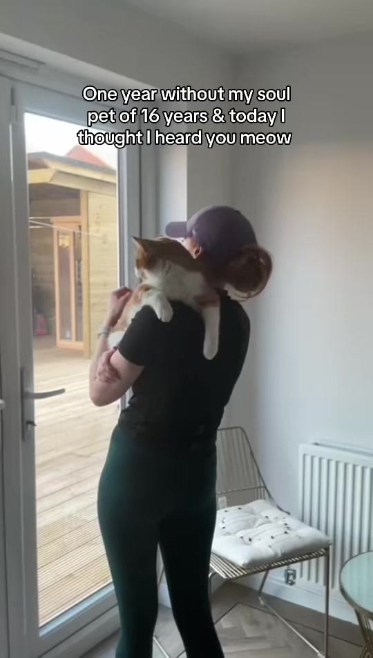 Post 6 by Cheape on TikTok (video)