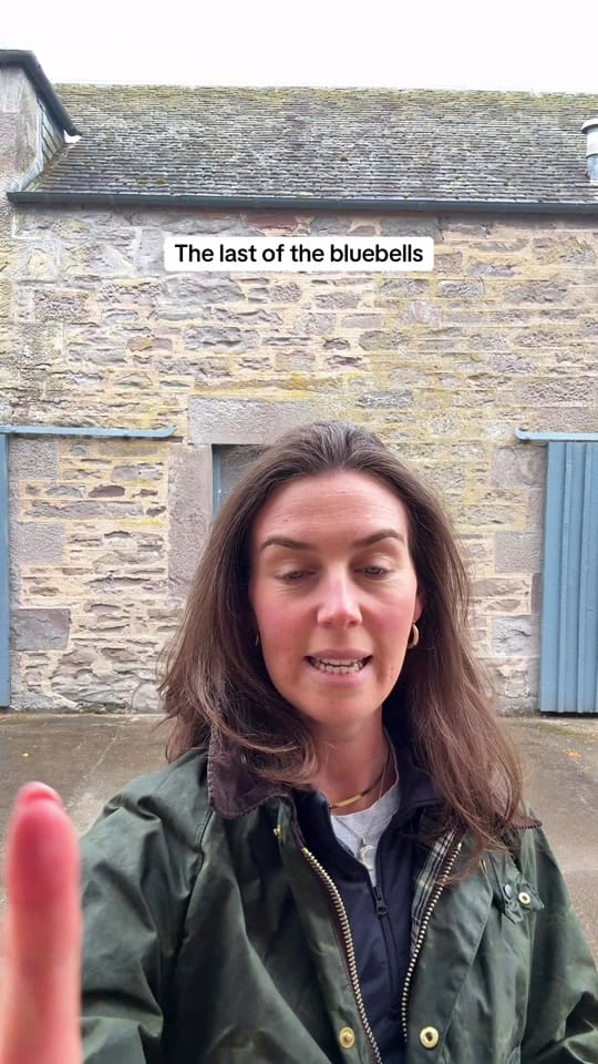 Post 4 by Annabel Wilson on TikTok (video)