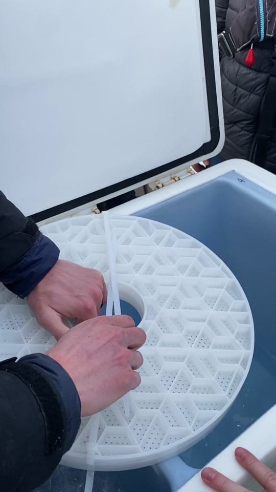 Post 10 by Padstow Sealife Safaris on TikTok (video)