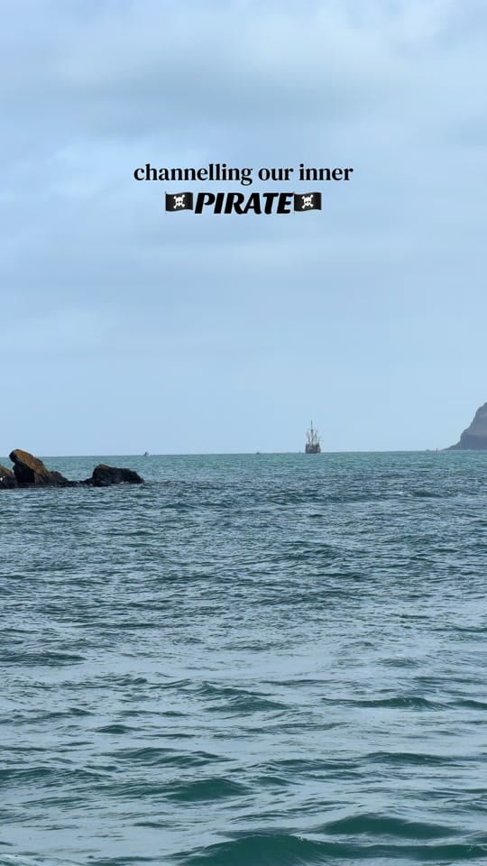 Post 6 by Padstow Sealife Safaris on TikTok (video)