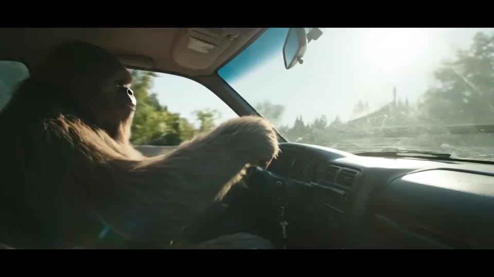 Post 6 by Bigfoot Northeast on TikTok (video)