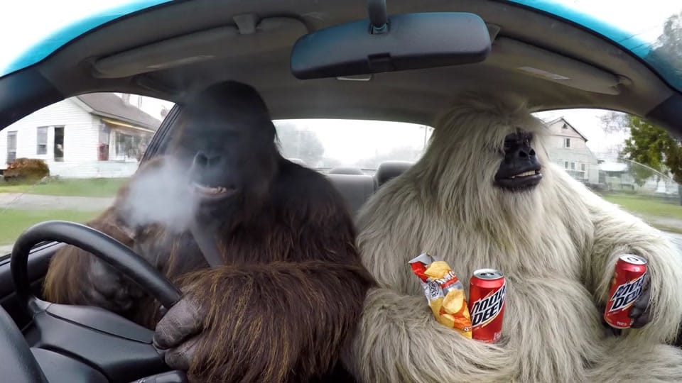 Post 3 by Bigfoot Northeast on TikTok (video)