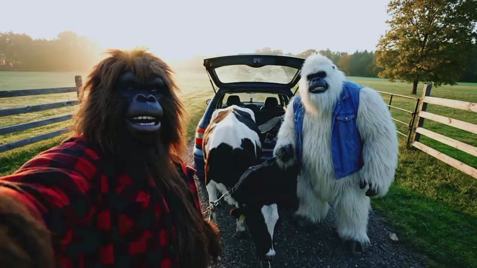 Post 5 by Bigfoot Northeast on TikTok (video)