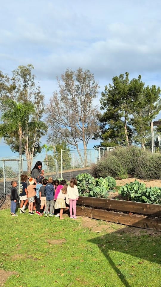 Post 1 by Carmel Mountain Preschool on TikTok (video)