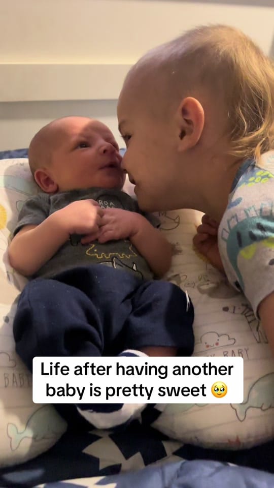 Post 5 by Jenn Evans | Raising Roamers on TikTok (video)