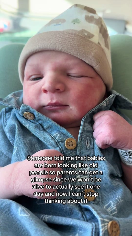 Post 7 by Jenn Evans | Raising Roamers on TikTok (video)
