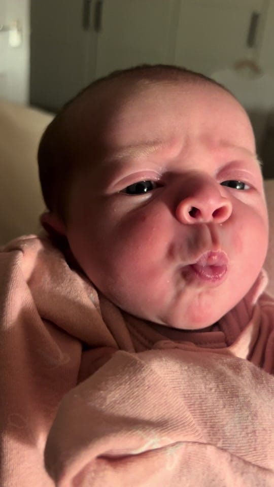 Post 4 by Abigail Kendall on TikTok (video)