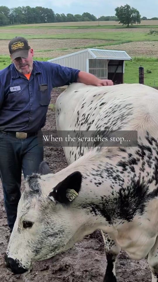 Post 1 by Gr8ful Roots Farm on TikTok (video)
