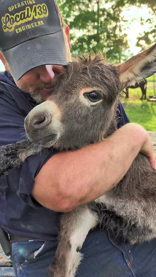 Post 2 by Gr8ful Roots Farm on TikTok (video)