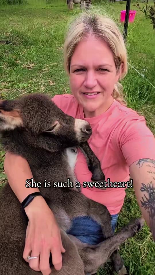 Post 5 by Gr8ful Roots Farm on TikTok (video)