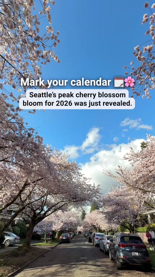 Post 5 by ParentMap on TikTok (video)