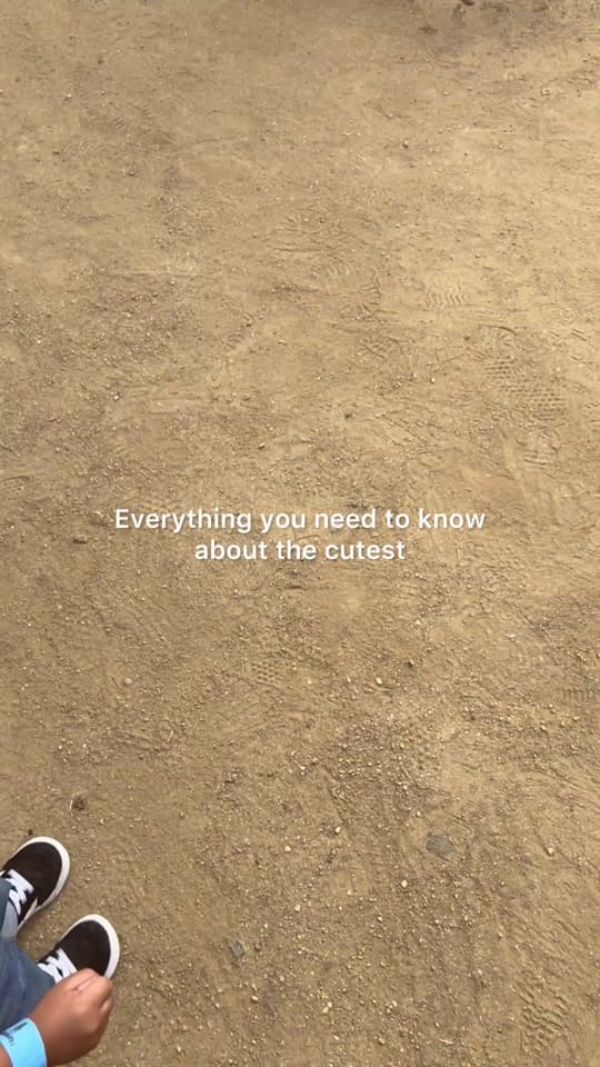Post 8 by Nicole on TikTok (video)