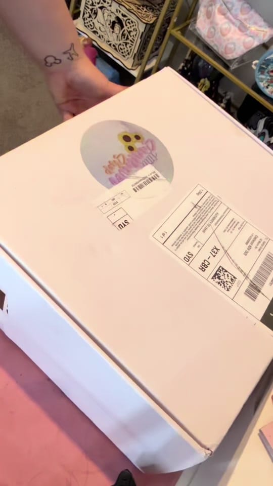 Post 5 by Kaitlyn 🫶🏻🏰🎟️🐭💕✨ on TikTok (video)