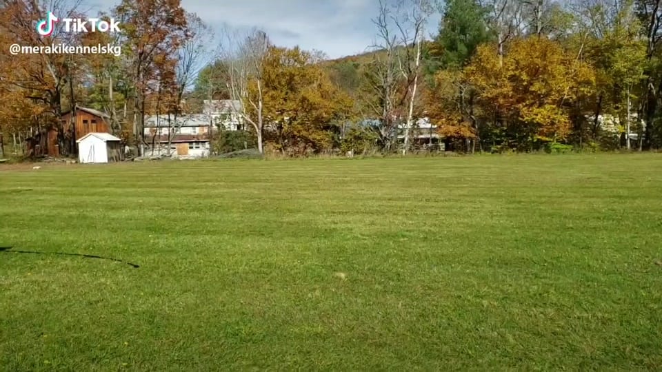 Post 2 by Kayden | Brimstone on TikTok (video)