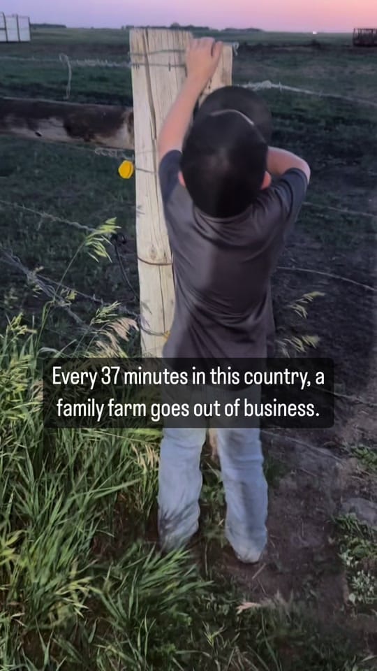 Post 10 by AmandaRadke on TikTok (video)