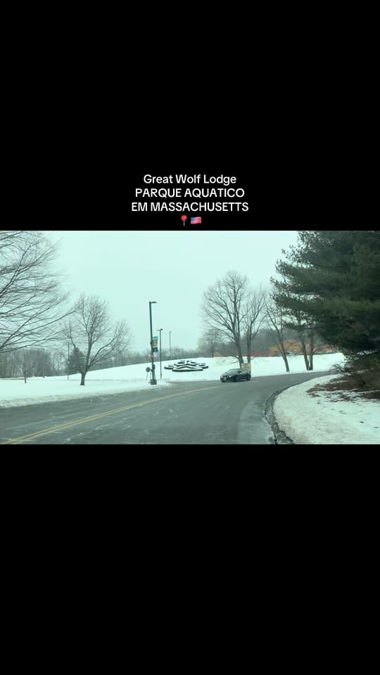 Post 9 by ediv4ne 🐨 on TikTok (video)