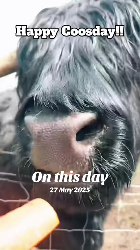 Post 2 by claire_exploring on TikTok (video)