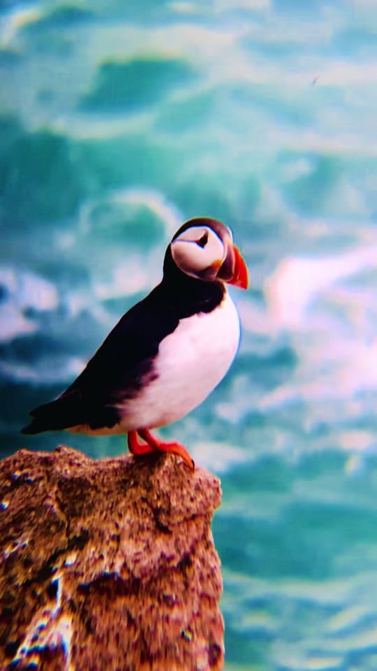 Post 9 by claire_exploring on TikTok (video)