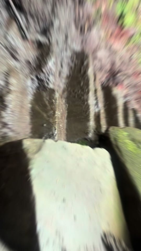 Post 8 by claire_exploring on TikTok (video)