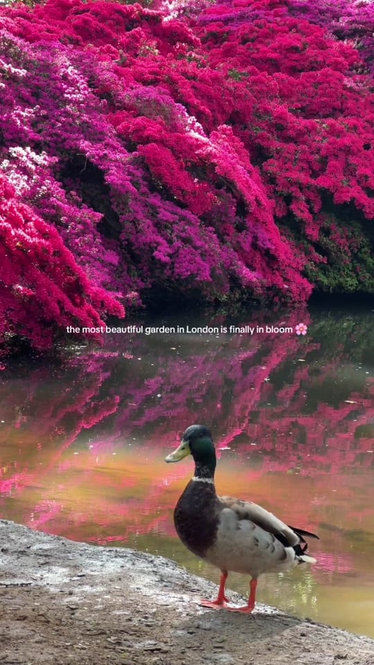 Post 9 by claire | travel and life🌞💌🌿 on TikTok (video)