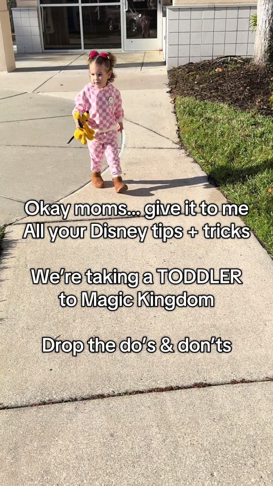 Post 2 by Paige - Toddler Mom on TikTok (video)