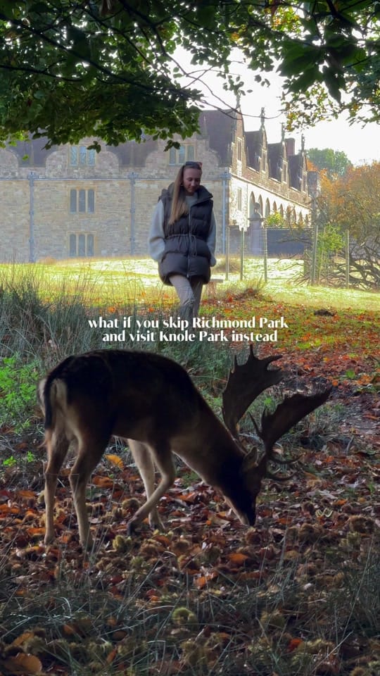 Post 8 by Jenny - travel around Britain on TikTok (video)