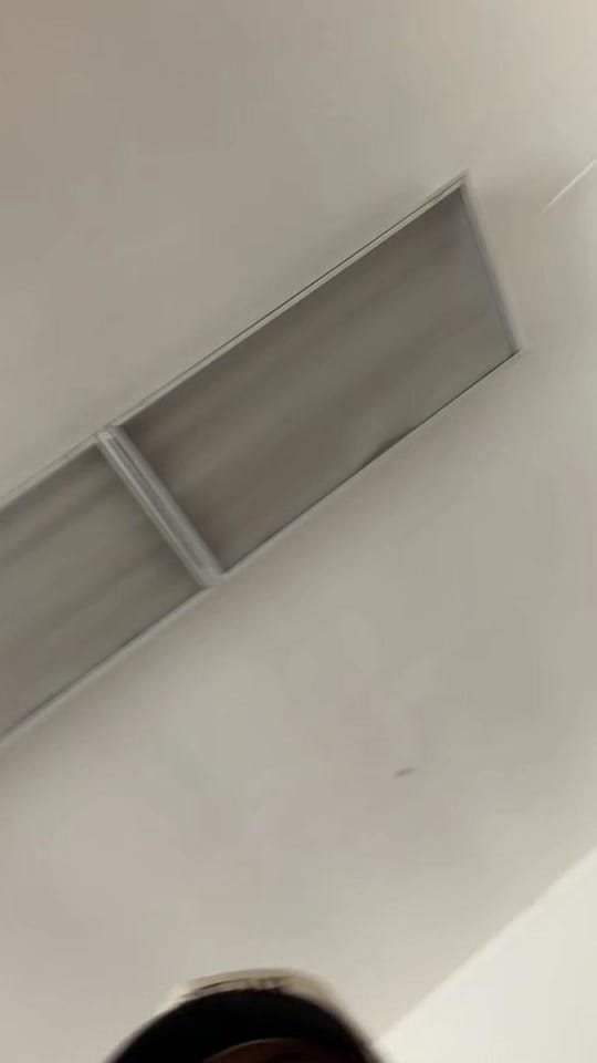 Post 7 by HaleighLynPhotography on TikTok (video)