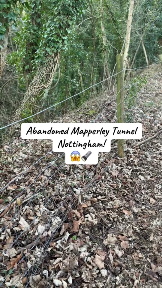 Post 9 by OutdoorsExplores on TikTok (video)