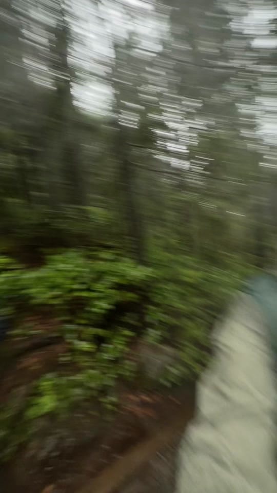 Post 6 by brenna 🌊✨🌿⛰️ on TikTok (video)