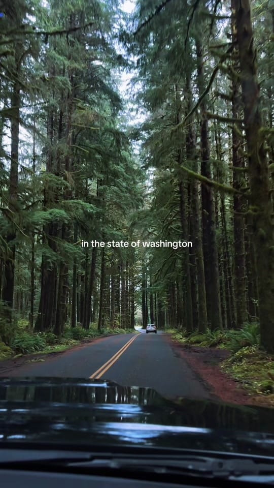 Post 9 by brenna 🌊✨🌿⛰️ on TikTok (video)