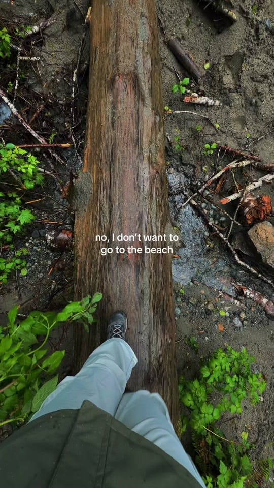 Post 1 by brenna 🌊✨🌿⛰️ on TikTok (video)