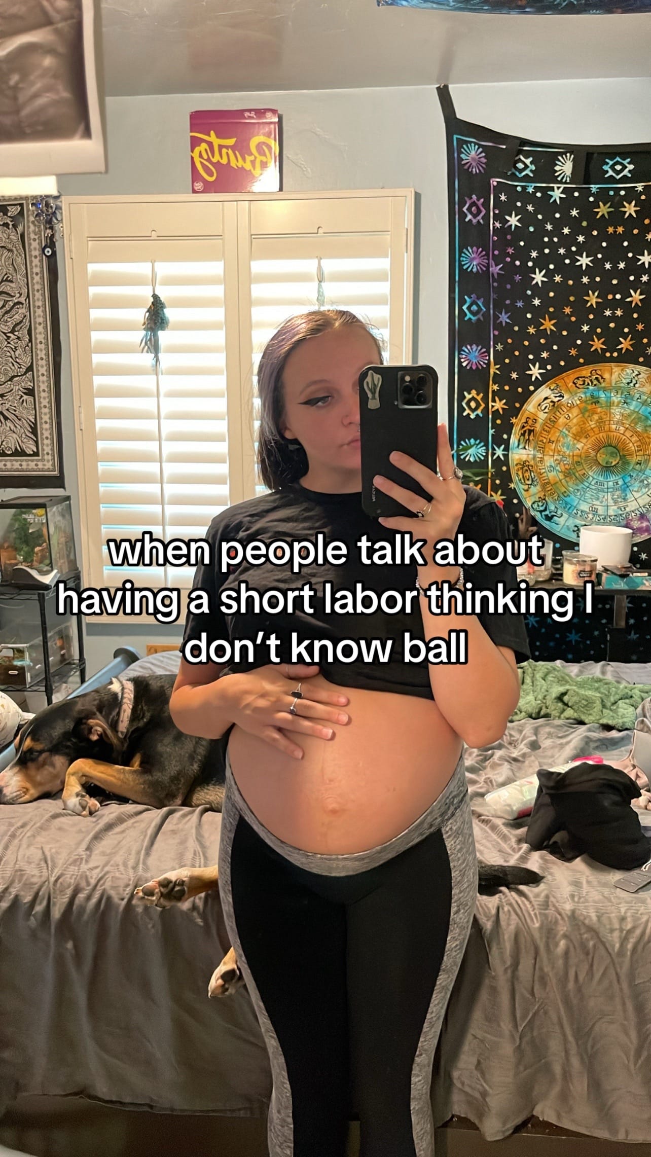 Post 5 by Alexa Rose on TikTok (video)