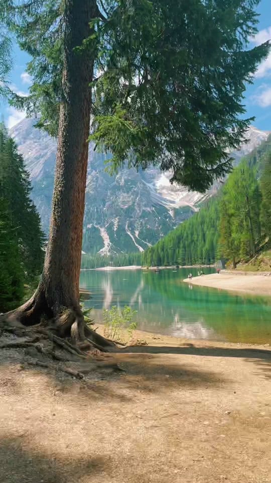 Post 10 by Mark Pickersgill on TikTok (video)
